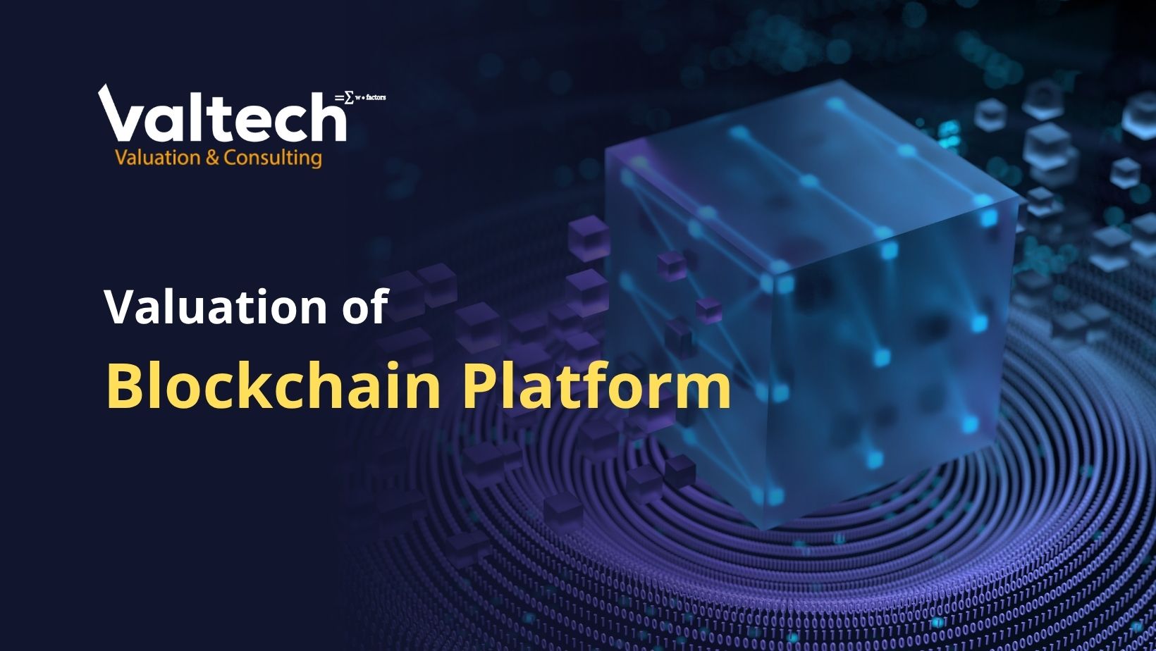 Blockchain Platform Valuation